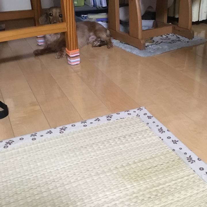 4845b665 3709 4dab a601 645267946a88