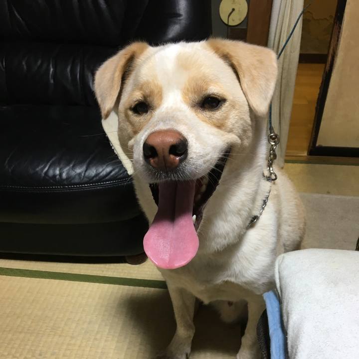 48461628 3860 47c7 844e a88edde30efa