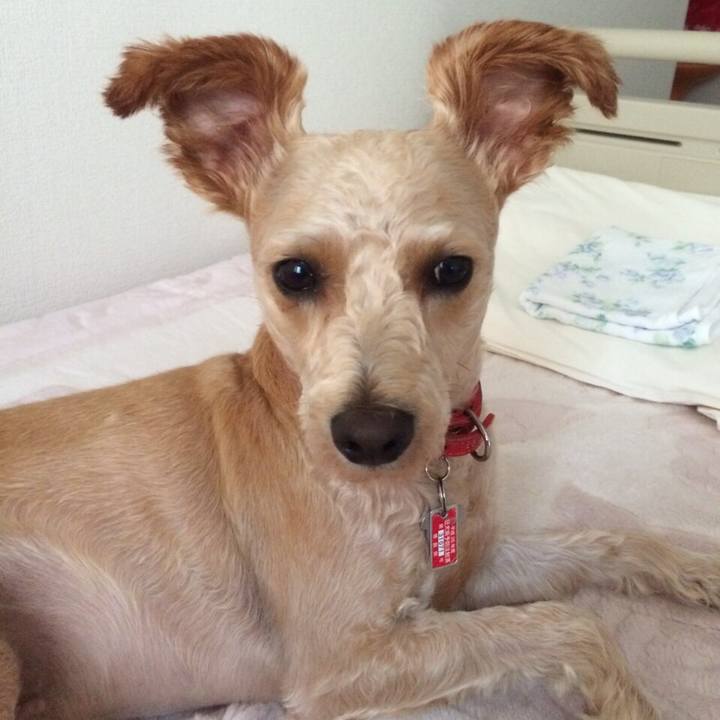 484696a4 6b18 47a7 b514 9f17250f81a7