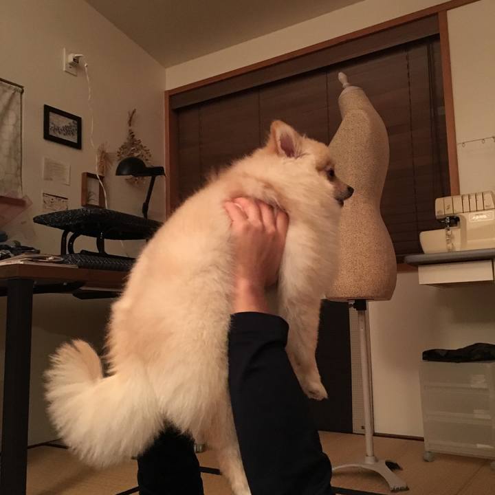 4847056a c4c5 4d75 9b2c 39451f167be4