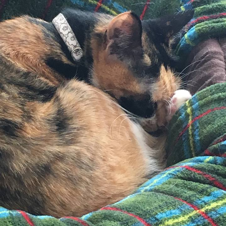 48470a90 d5bc 4033 8e6c f922bf4365f2