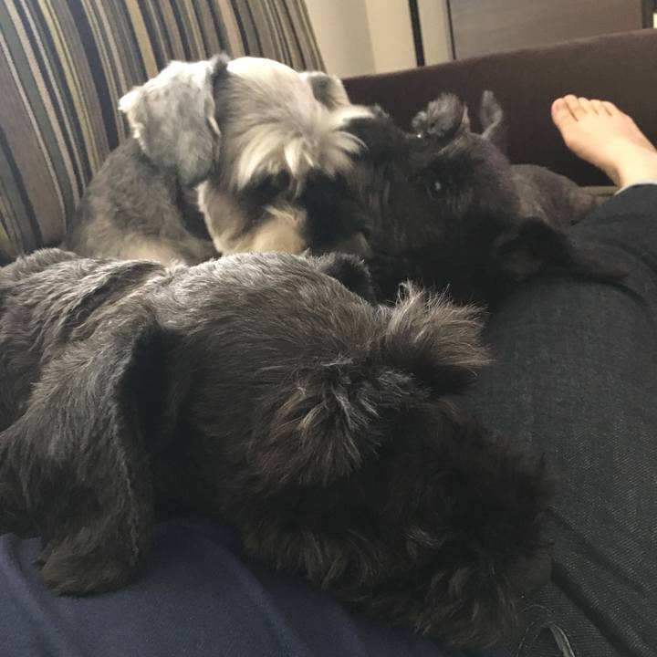 48473a0c b673 419f 8952 44040831e004