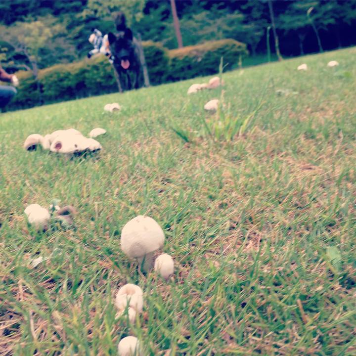 48474b30 ded3 408a bef2 234f9432dbb6