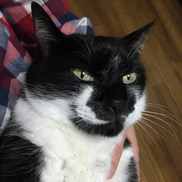 484872d9 a880 4c8f 9bba 9d616a129515