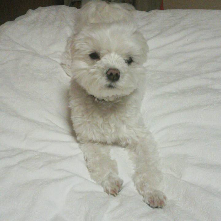 4848d612 5069 4ef8 9f76 af3de7fd7e30