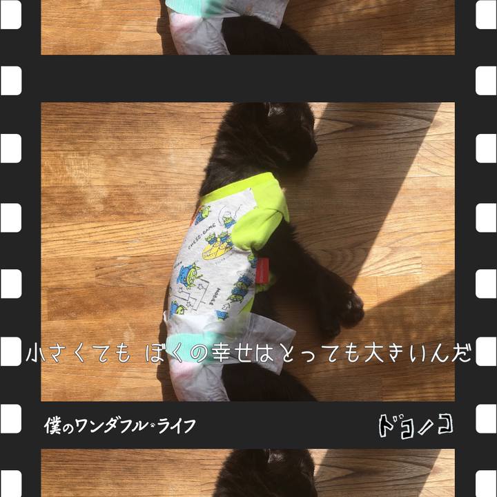 4848e891 8e9e 4576 ab6b 4520df806b9b