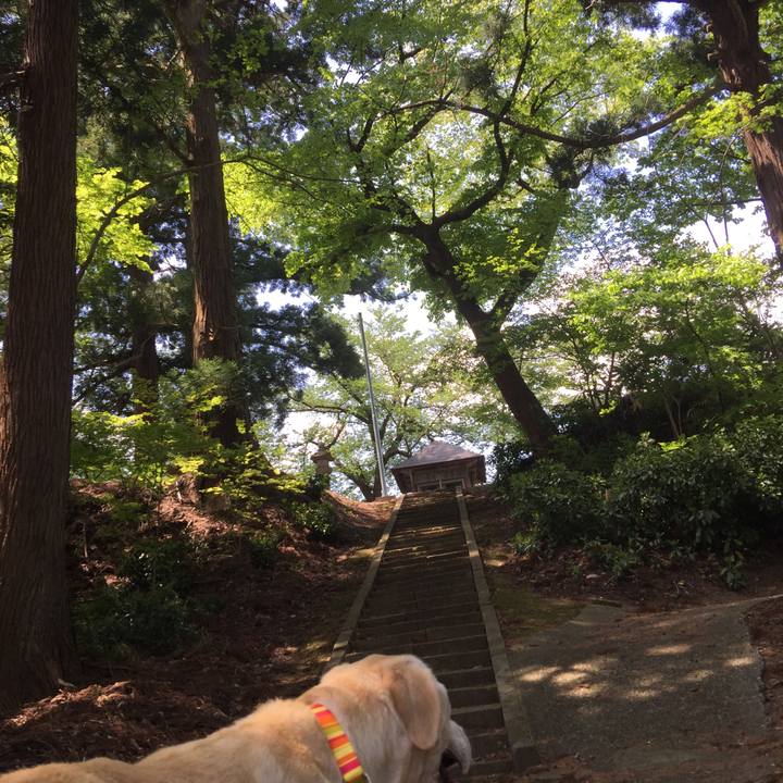 484a2603 5b8f 4b15 b031 bdb6d67aab0e