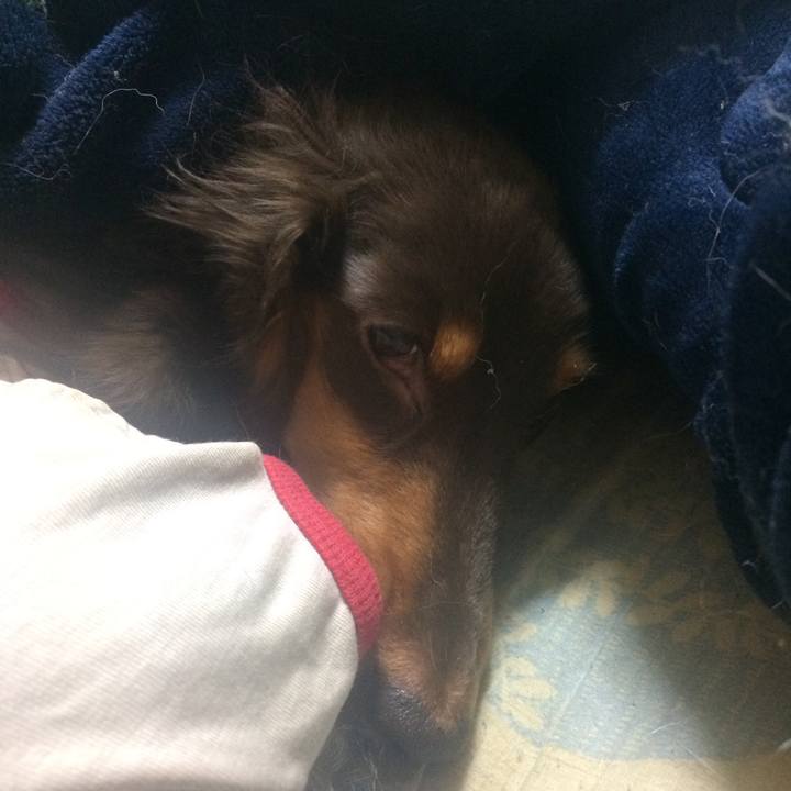 484a36cf 8c8f 4a30 8dbe a3f8a0bc64c5