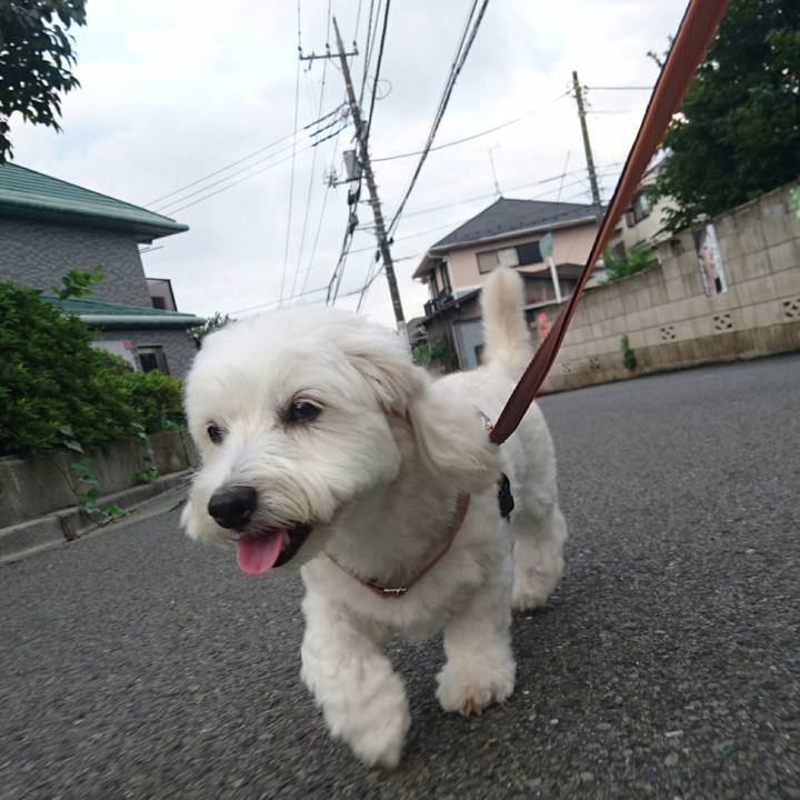 484adcd4 3368 4363 b4d5 2408ccfb85c4