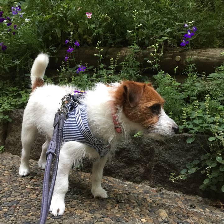 484aecd0 8bc5 4119 a2ff b235210b2c76