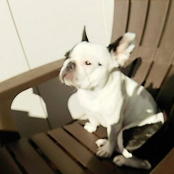 484b0b36 6cca 4903 950e 9ef39ab042b6