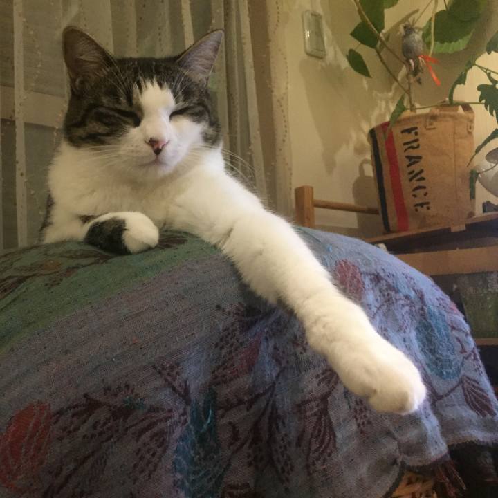 484b4088 3b31 4d8b 9fb1 132448ee1685