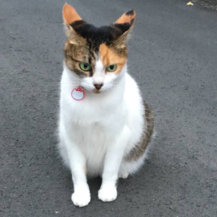 484b40a0 b6d3 4bea 8e31 db58349d7b85