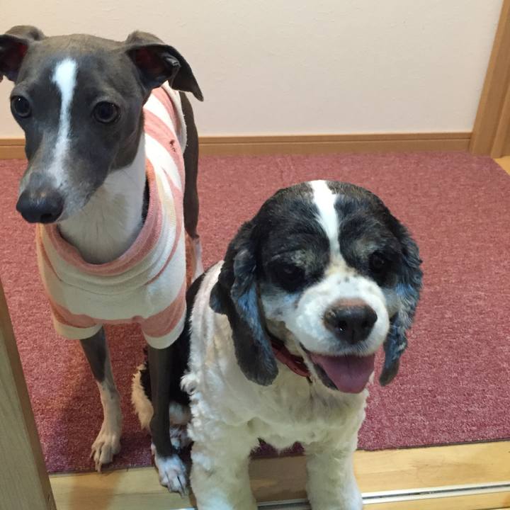 484ba2de 1112 4d7f 9a79 f2932908c483