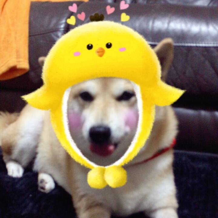 484bfd95 e9b5 4203 90ab 8caefc33c4cc