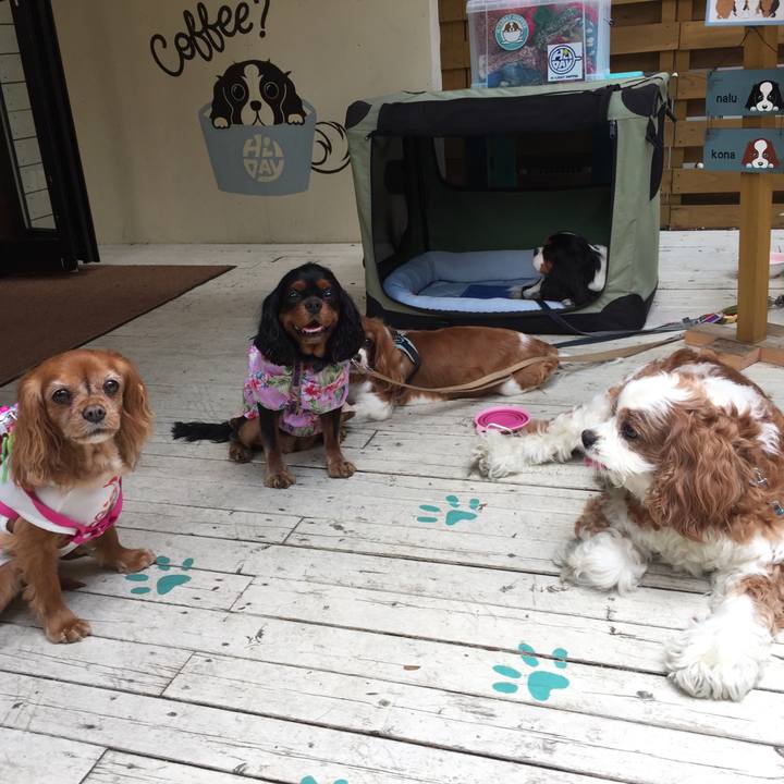 484db559 b60d 4964 8b37 dfb3367478b4