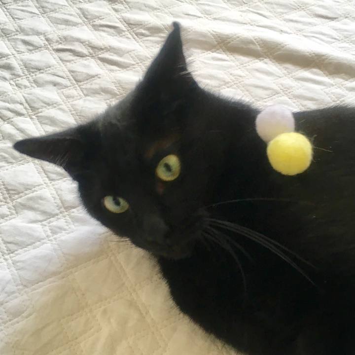 4850394f 2e0f 49db 82a1 0bfa5057398e