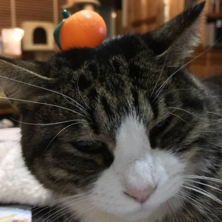 485039da f18e 49b7 81d3 419b4d8618d0