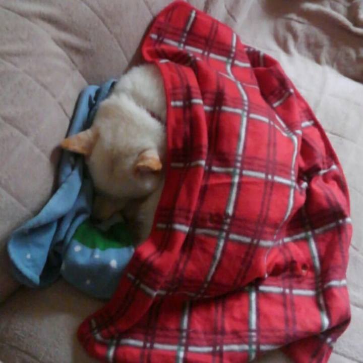 4850da9e ad74 48e6 acd2 3100570551f4