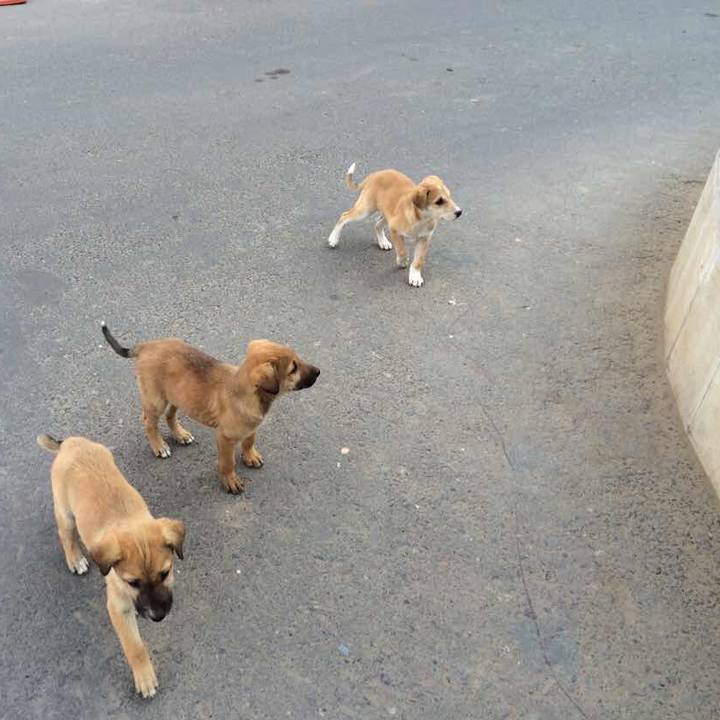 48510aa9 21bc 47a0 8e05 06111b54496c