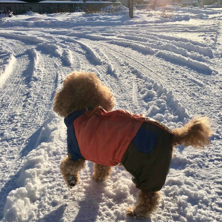 485118d1 a142 40a2 af0b ae928b325f38