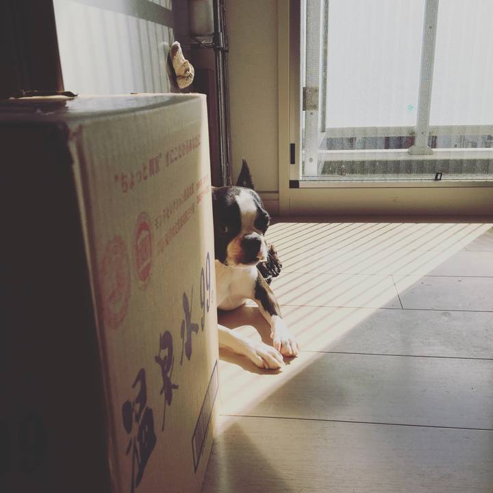 48516f00 1204 404f 892e 3b1fac535c2b