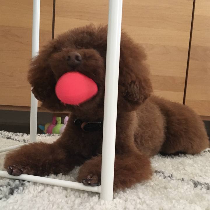 4851c3bb 2a3e 461d 918b fa8e30664770