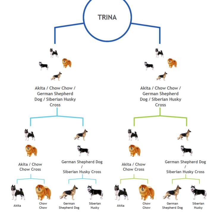 48526c5c 2e0e 46ab 8919 60cdd8882205