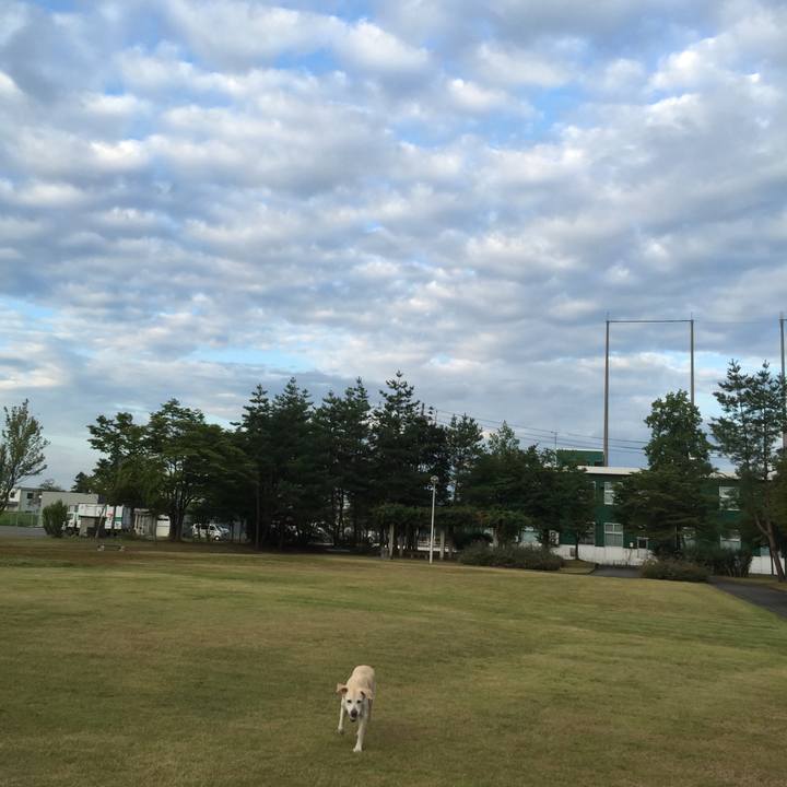 48529dfc b6c1 47d4 b24e a00de78f0f31