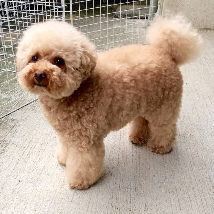 4852f8e8 a82d 4cb9 8b93 a01d49742b75