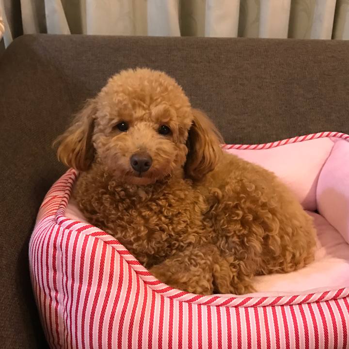 4852f9ed aad2 4d1e 92ac 0b32f07281d5