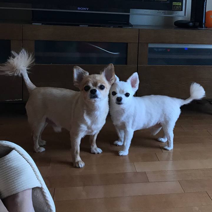 48539f53 a721 45a7 b500 7ce2916bf9a0