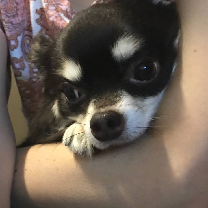 4854270b c897 4f48 a579 60436fc77ff4