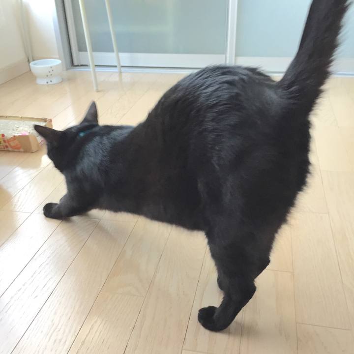 4854305f 7ca3 4c1d 8eb3 52556b66509c