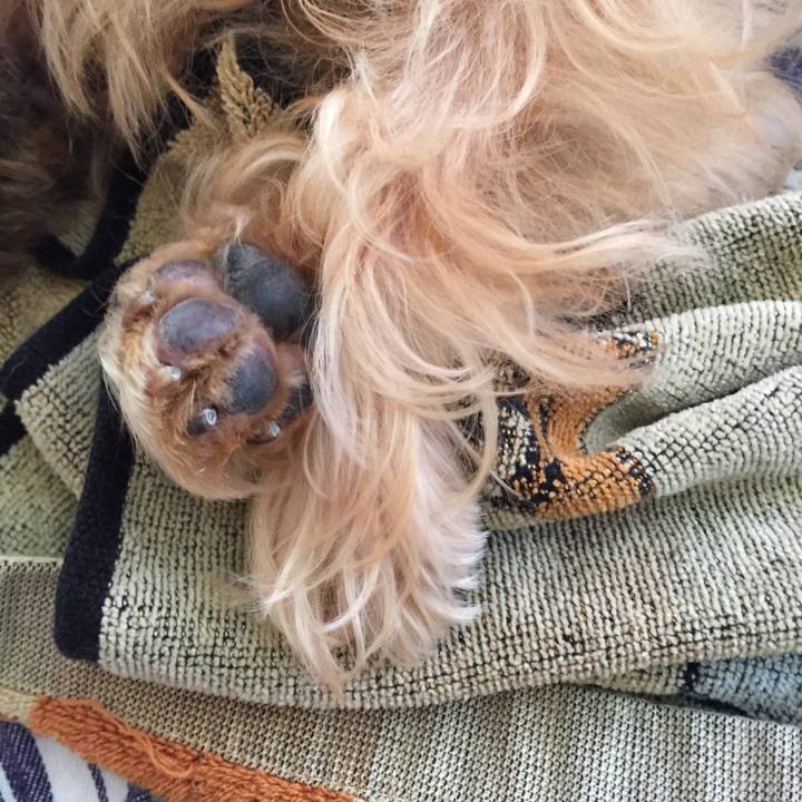 485435a0 51aa 4cb4 a998 121d8715537c