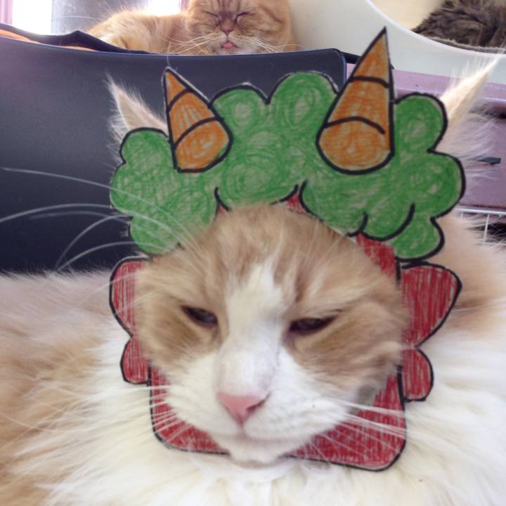 4854a825 4bf1 4100 81ba 54f25393d1b4