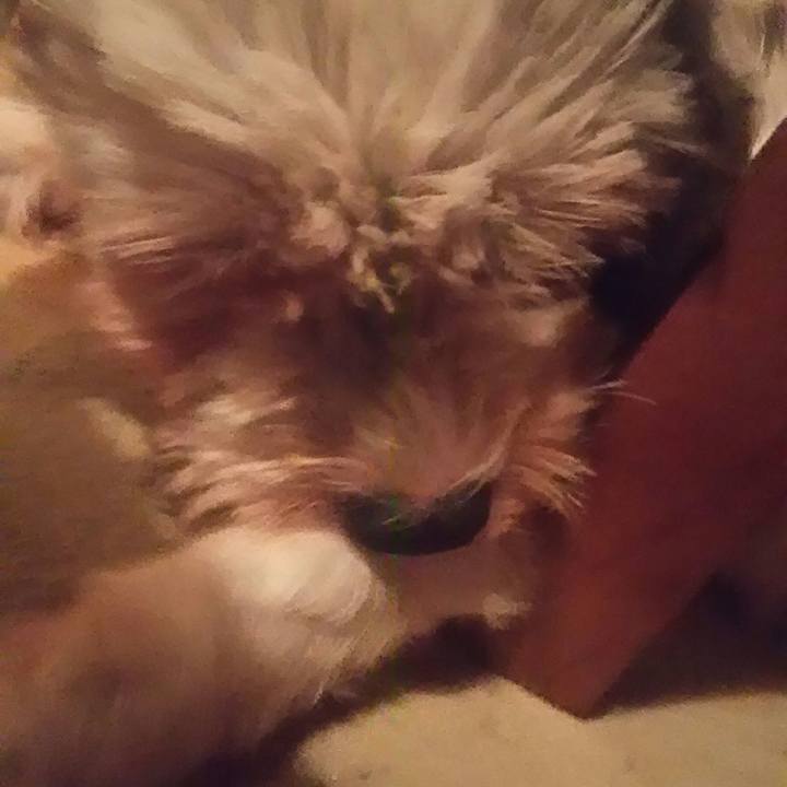 4854f682 c668 4b77 a176 f3bb40d87e8e