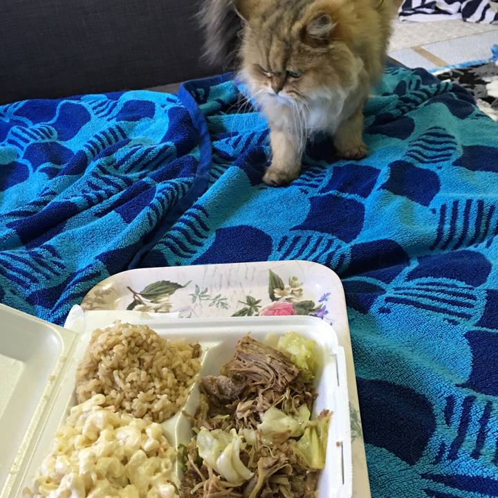 485679a7 a77f 41e2 804b 5637f0e0ad1d