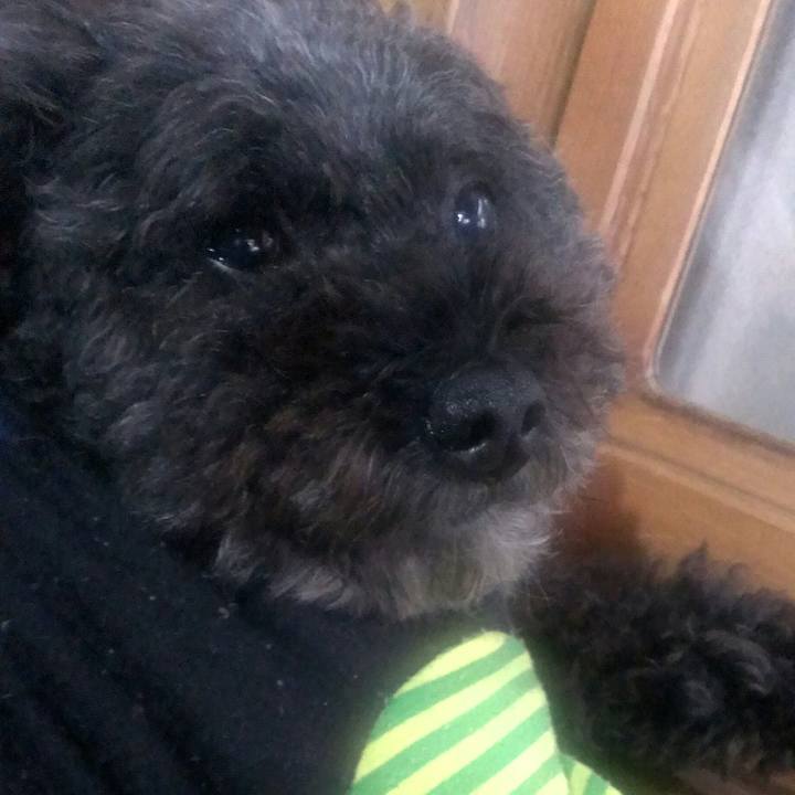 48569020 2ef8 4780 89c9 5630d82b5c60