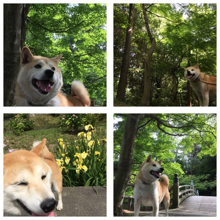 48570638 c43f 459a be1d 77f1a8e66114