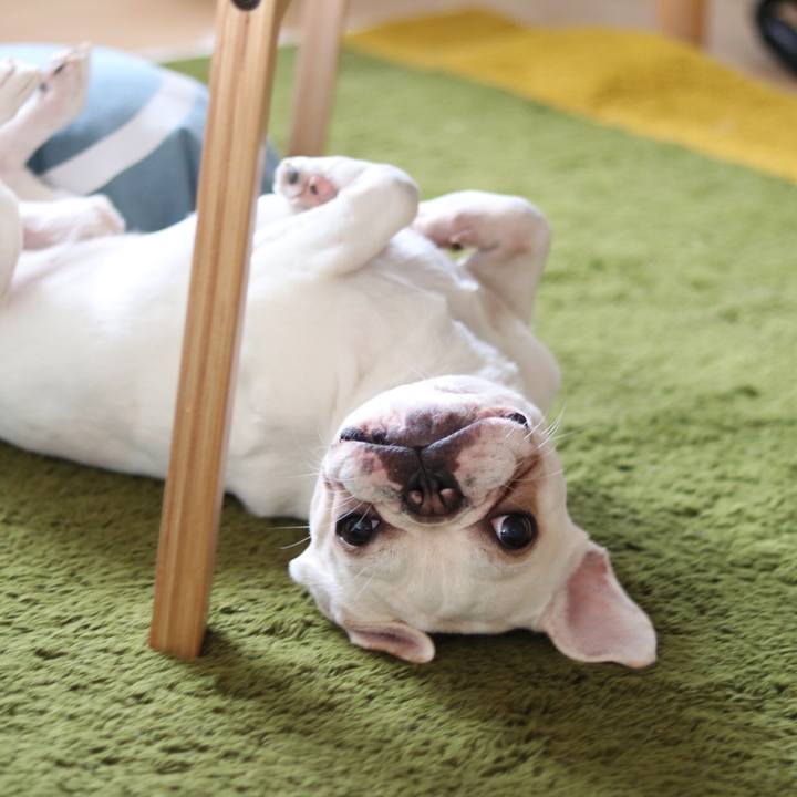 48570975 bbb0 4916 aec2 f8fdd0dc22c8