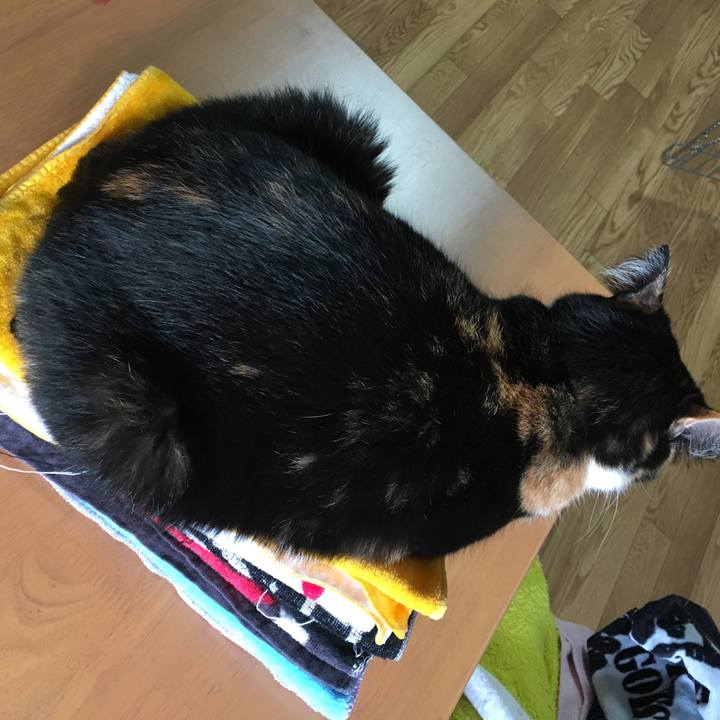 4857df69 570f 4762 87bc 4e2779b25912