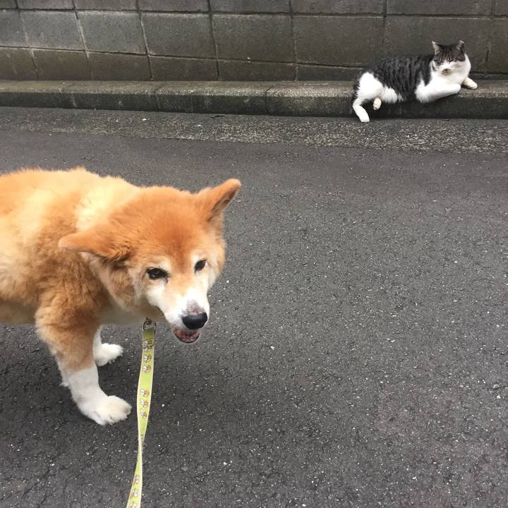 4857ea43 a1b6 4cb5 9a0c bef0f50b247e