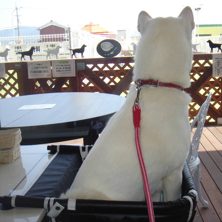 485806a6 017a 4437 869d 5f326c77c9a3