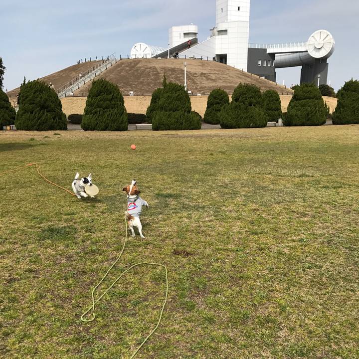 4858a43f 4cc1 43a8 bc49 dd187b418d81