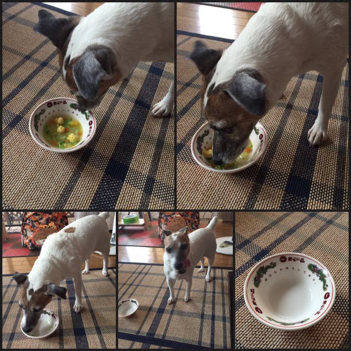 4858cde6 9e6f 4a85 91d9 e04e93d8e90f