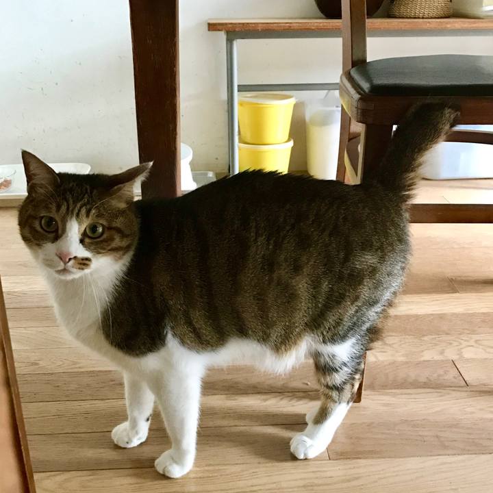 48592690 bd4a 41e2 b6f7 41c989126bef