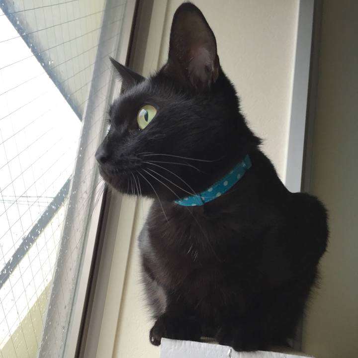 4859c1b3 af02 4c51 8362 89bc93c0a296