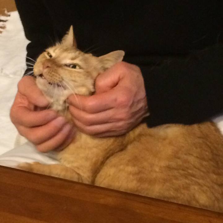 485a20db 5b04 4a35 89cf c9e9dfe10b0a