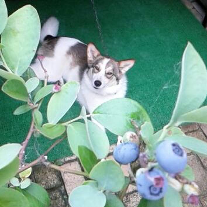 485a36be 7bf6 49ce a22b c1eaca571eec